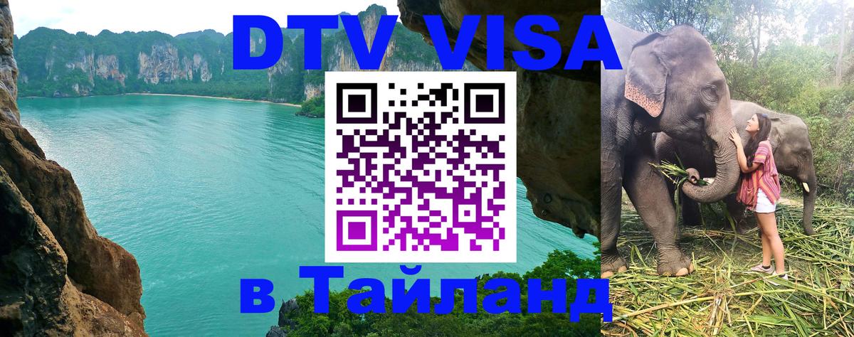 Сколько стоит DTV виза — актуальные цены, оформление даже без документов - 03.10.2025 